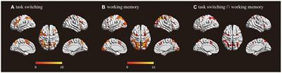 Task switching involves working memory: Evidence from neural representation